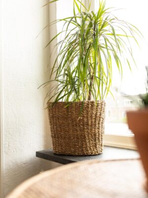 Lana Plantenmand Zeegras Medium