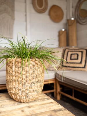 Mand Lloyd Zeegras Naturel Medium Rond