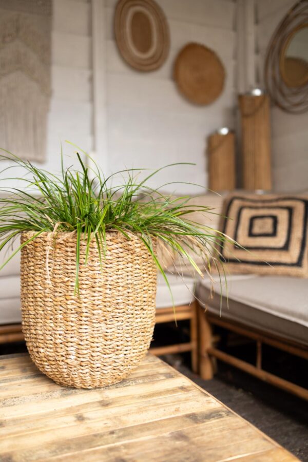 Mand Lloyd Zeegras Naturel Medium Rond