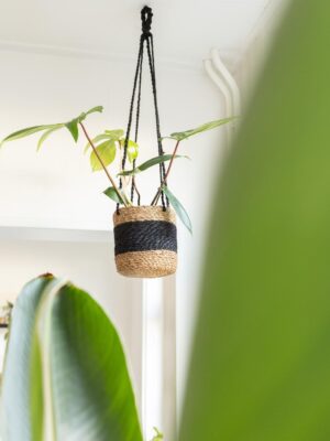 Hangmandje Zwart/Naturel